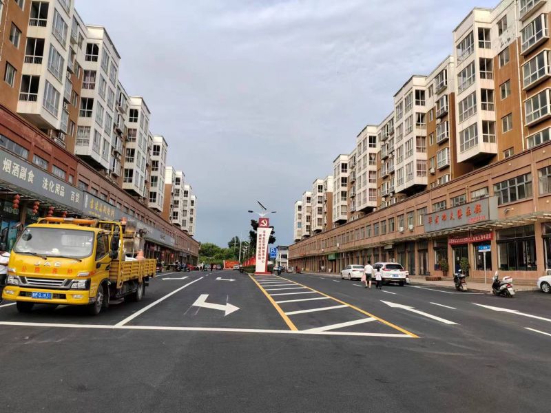 明珠佳园路路项目